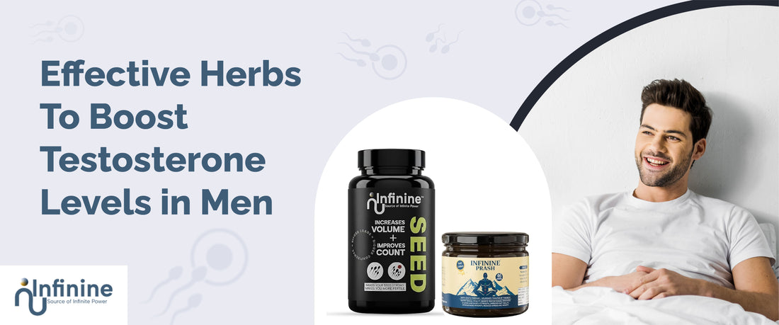 Boost Testosterone Levels in Men