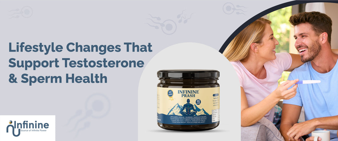 Testosterone & Sperm Health